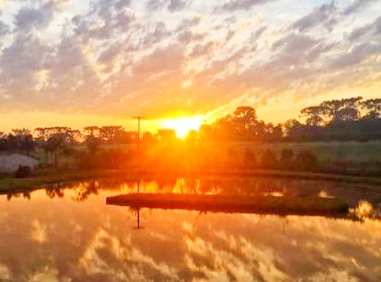 Screenshot_20220407-130235-113-01